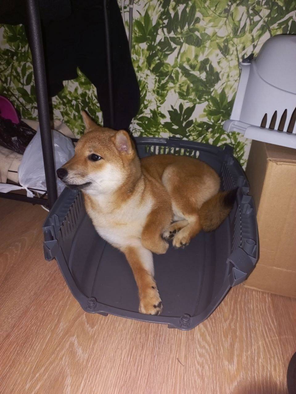 Помогите пожалуйста найти и ра...