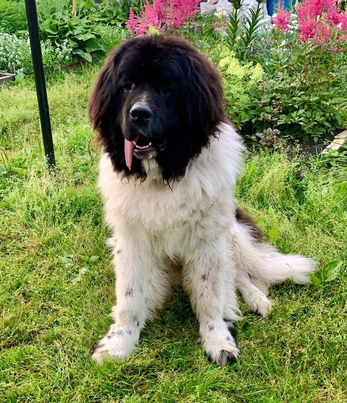 Помогите пожалуйста найти!!! 1...