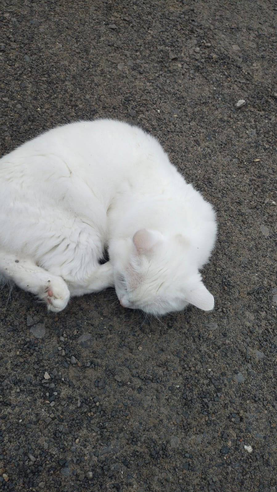 В районе автовокзала, где боль...