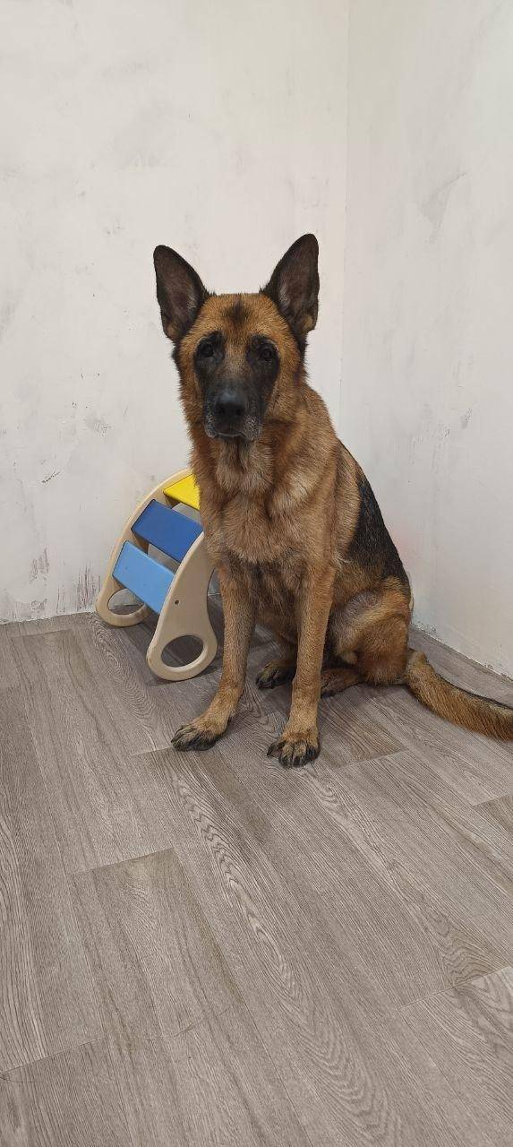 В СНТ Прометей (Новый Учхоз) в...