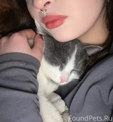 ‼️Потерялся кот‼️ Пропал кот п...