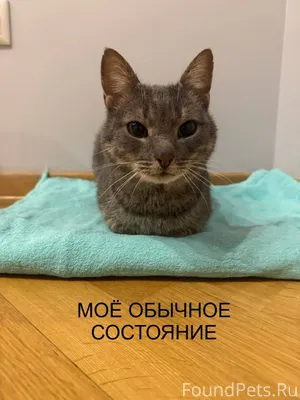 Краснодар Привет, меня зовут Ф...