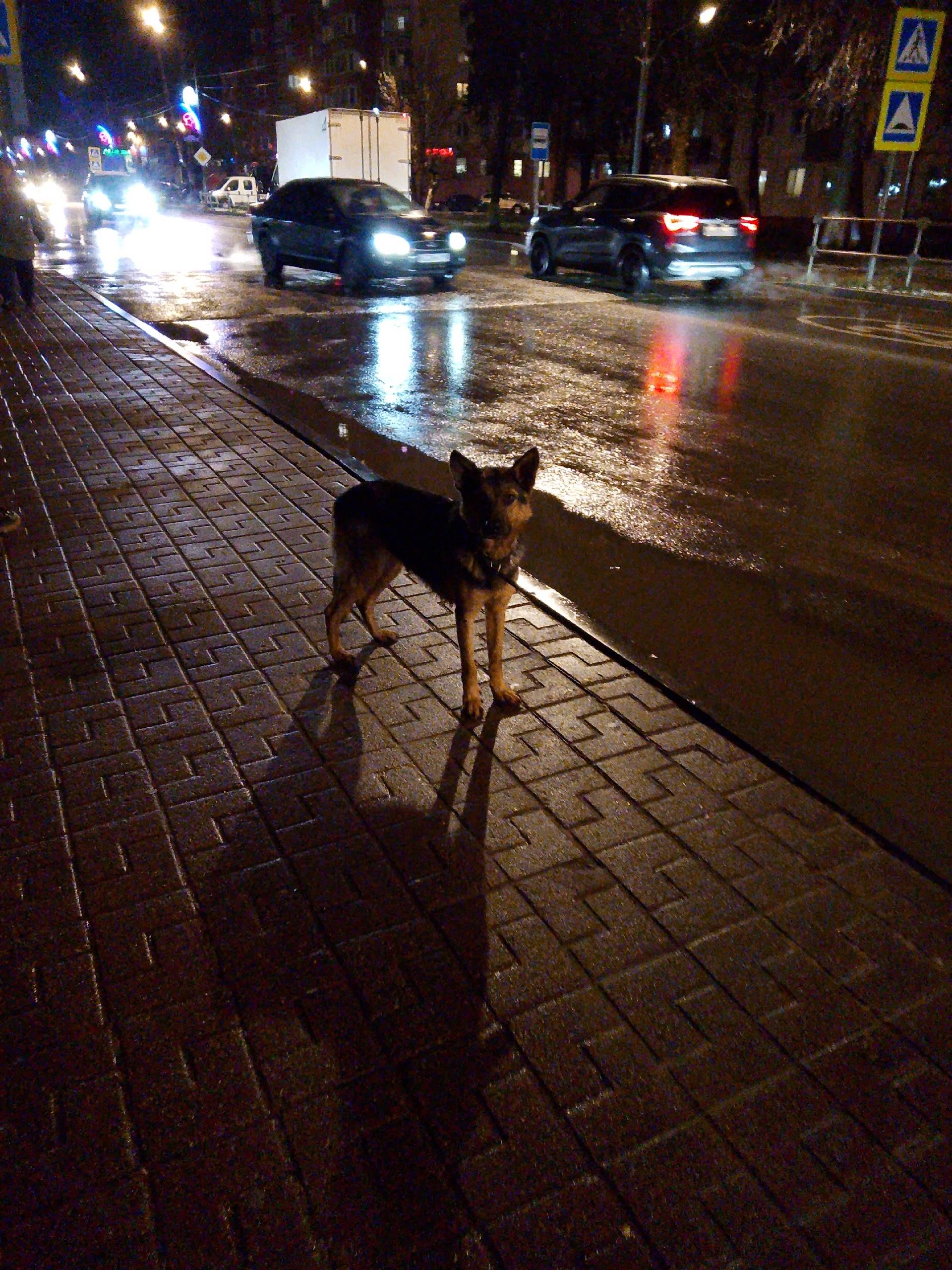 Внимание!!!❗❗❗ У остановки "До...