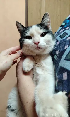 Вот так у нас, волонтёров, и.....