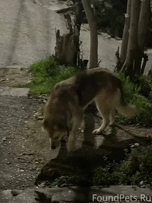 17.11 в 20:33 возле...