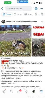 Ищем собачку из этого поста. Н...