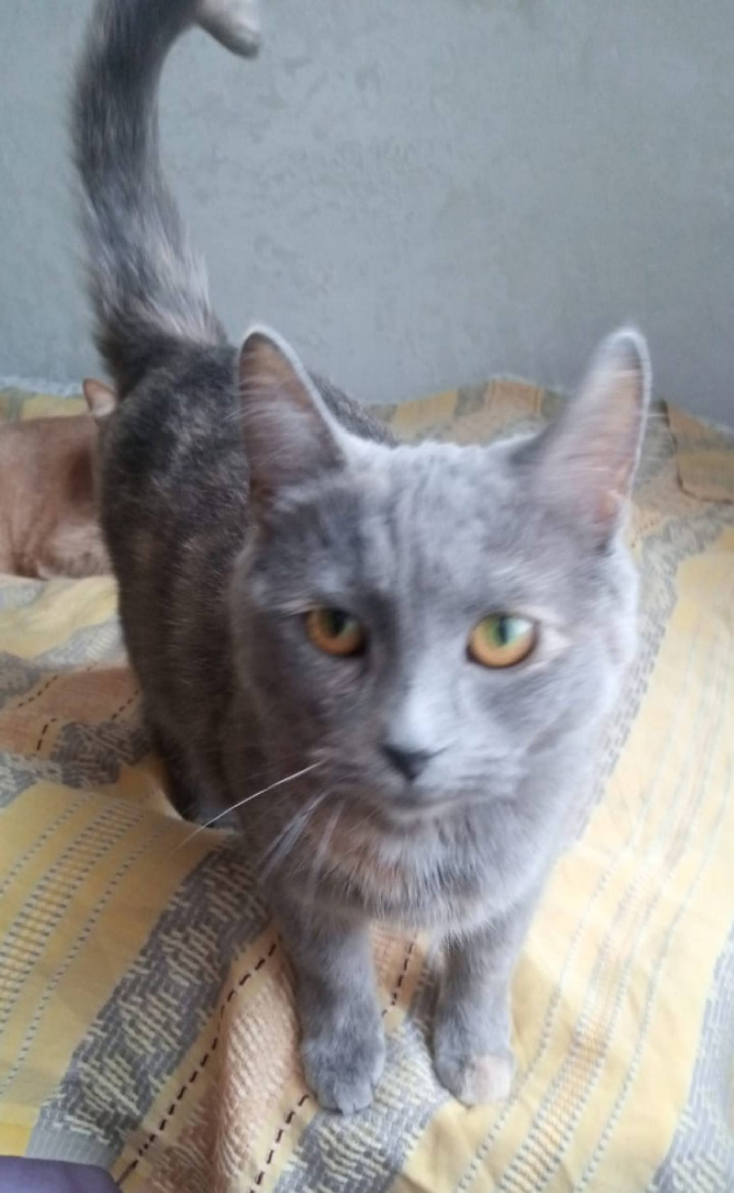 В Заречье, проезд Красная гора...