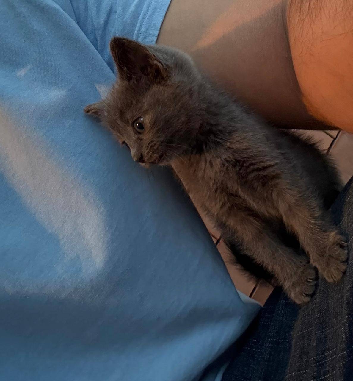 Добрый день! Пожалуйста, помог...