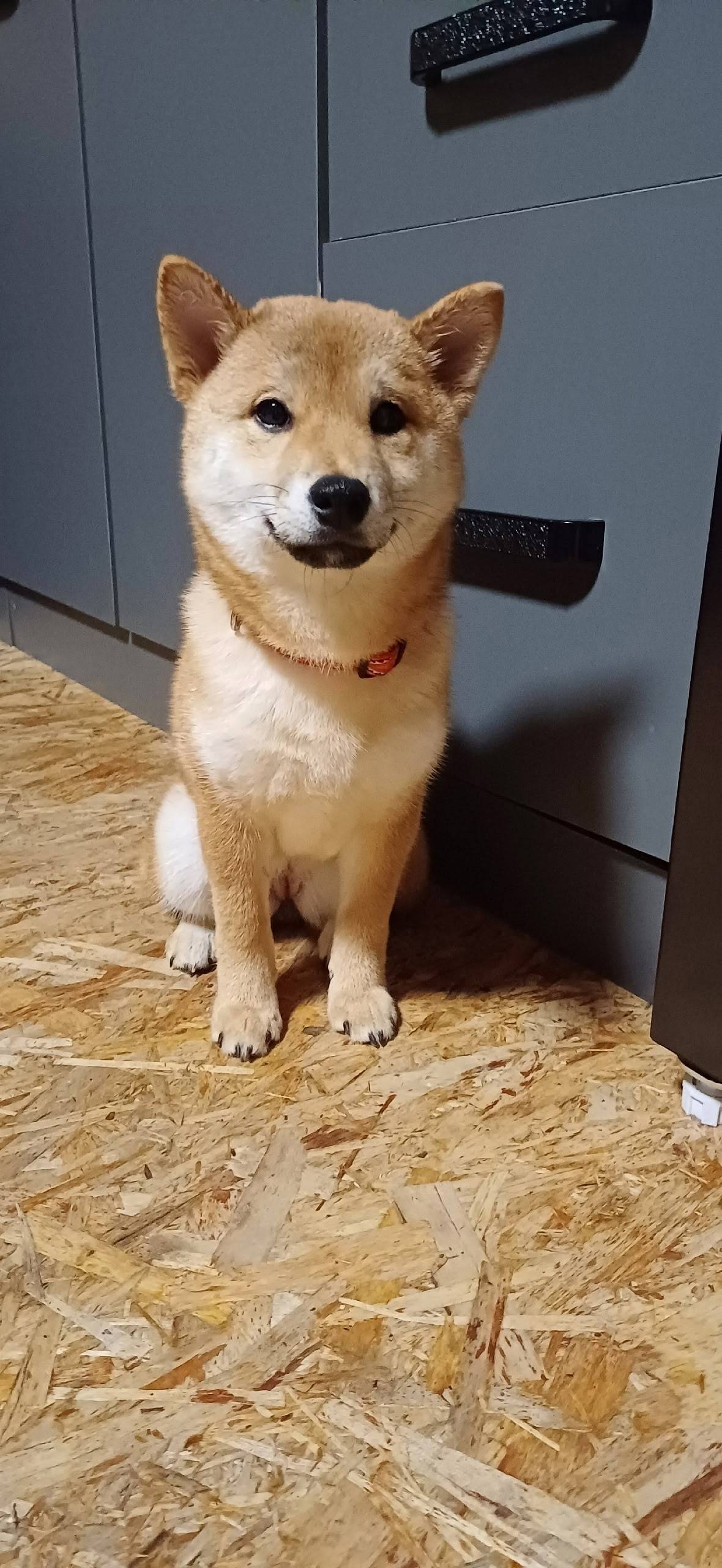 Добрый вечер! Помогите пожалуй...