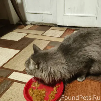 Внимание всем❤️🙏🤝 Пожалуйста,п...