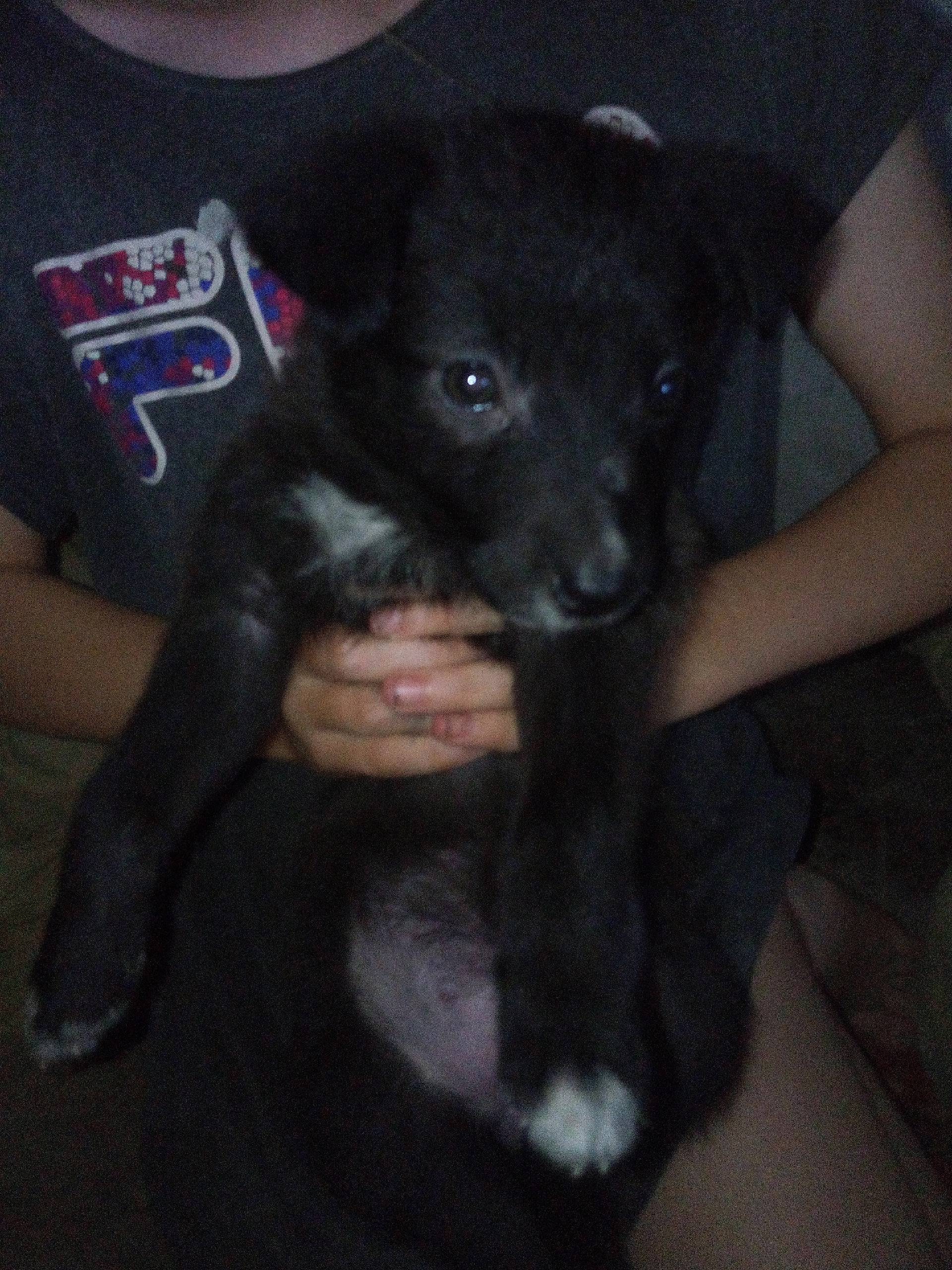 Объявление от участника группы...