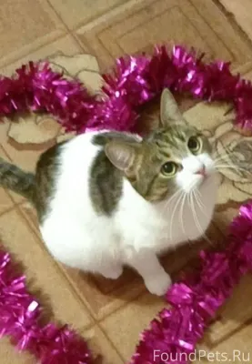 Помогите найти пожалуйста, про...