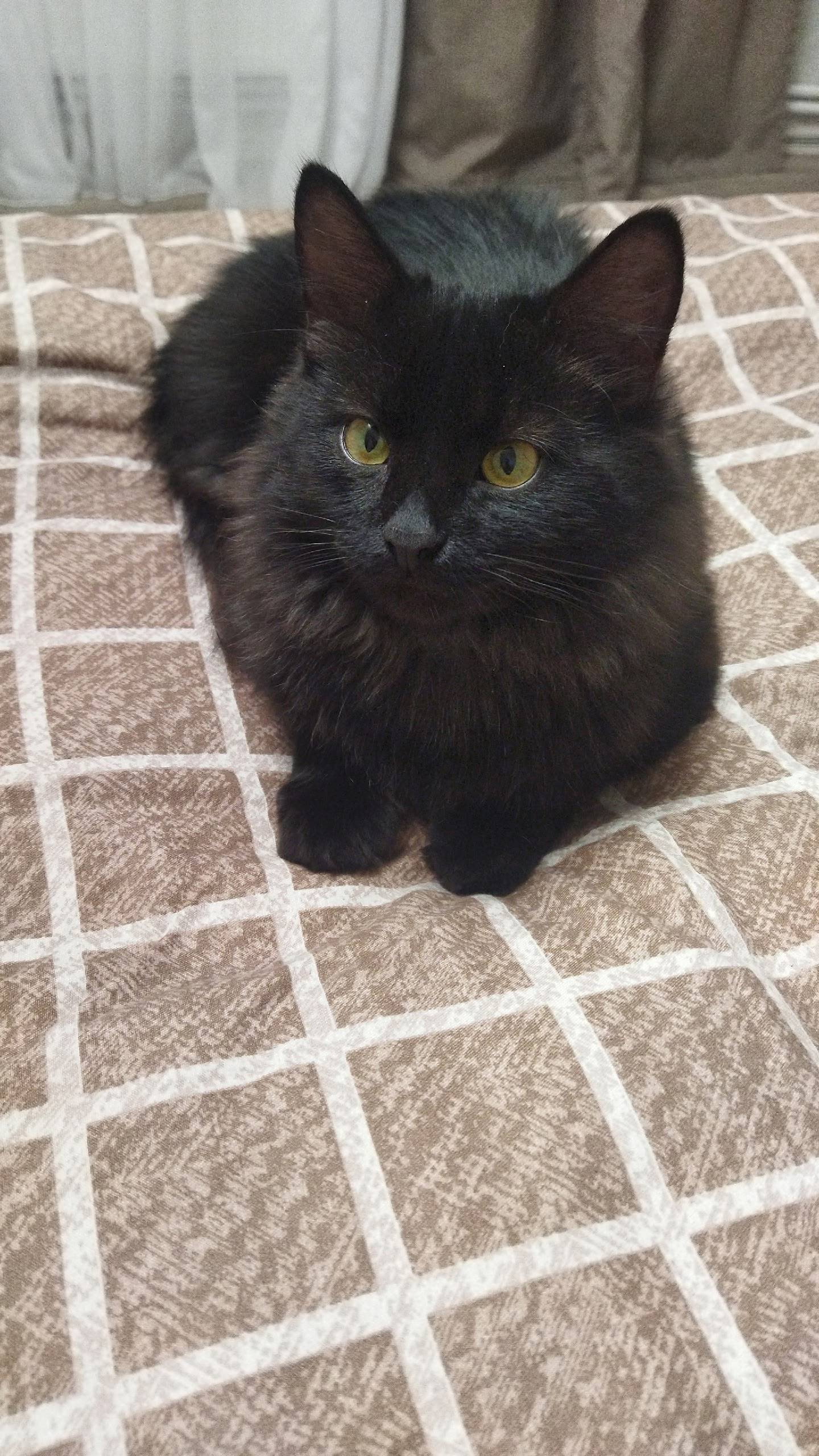 В районе бывшего госстраха вче...