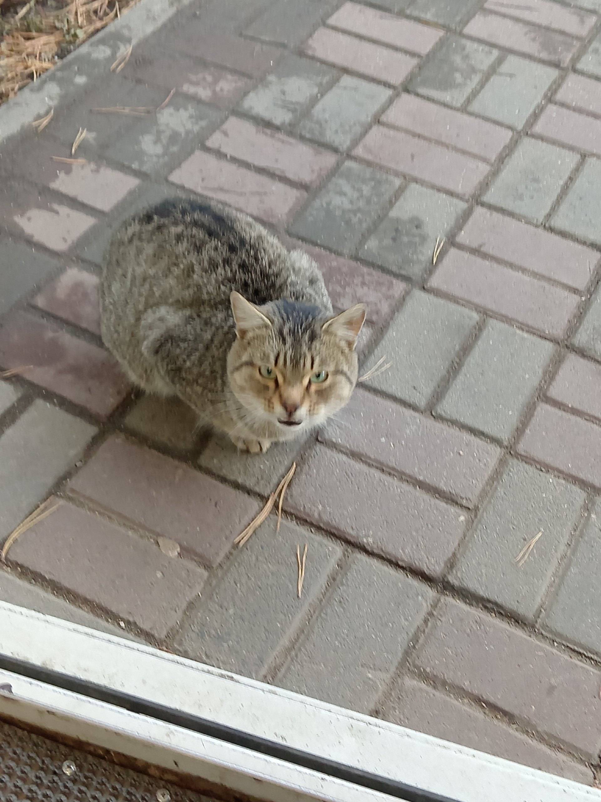 На территории Мед. Колледжа, б...