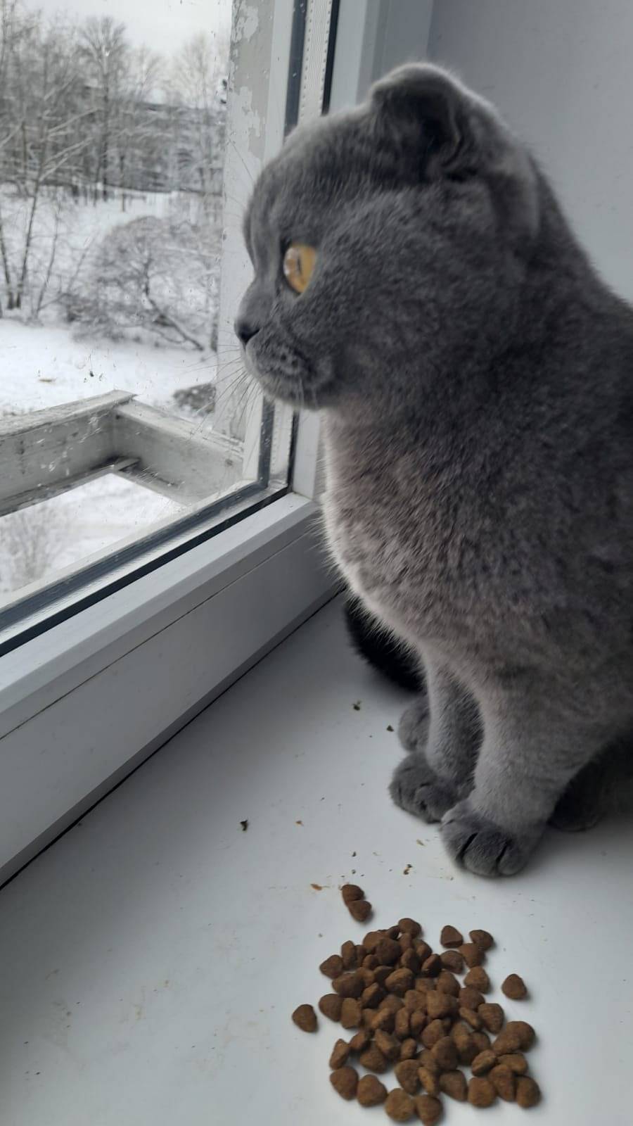 Вот такая красота была найдена...