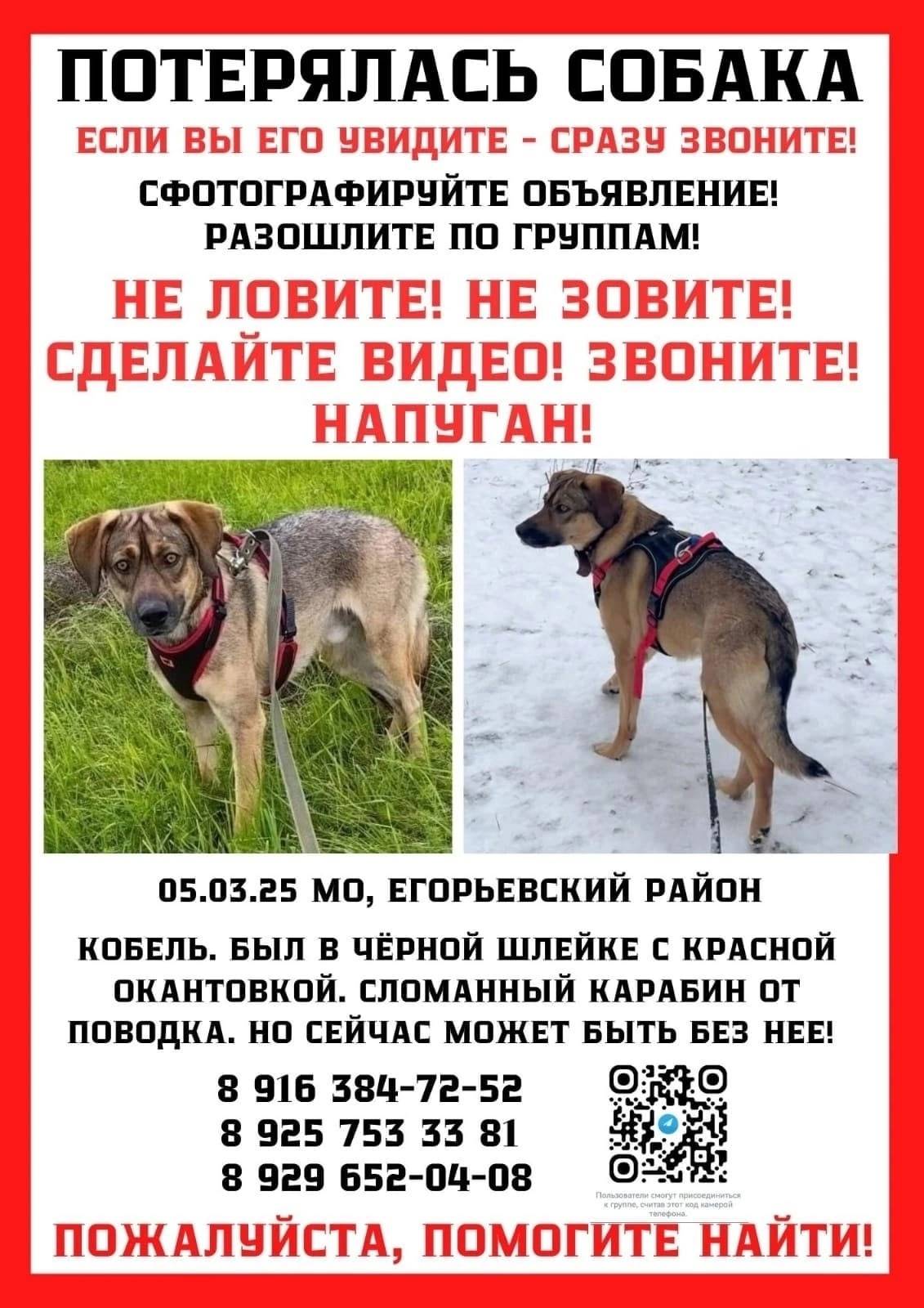 ПОМОГИТЕ НАЙТИ ТОШУ !!! Москва...