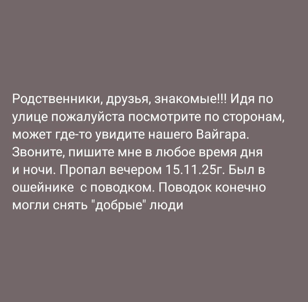 Серпухов! Пропала собака, прож...