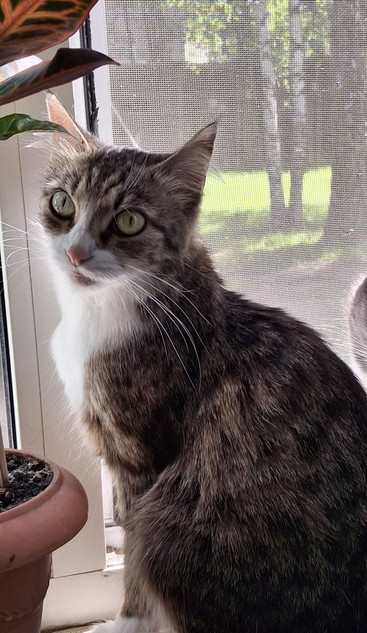 Вчера вечером на Зины Золотово...