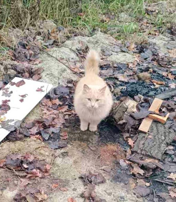 Беларусь, Жодино. Район улицы ...