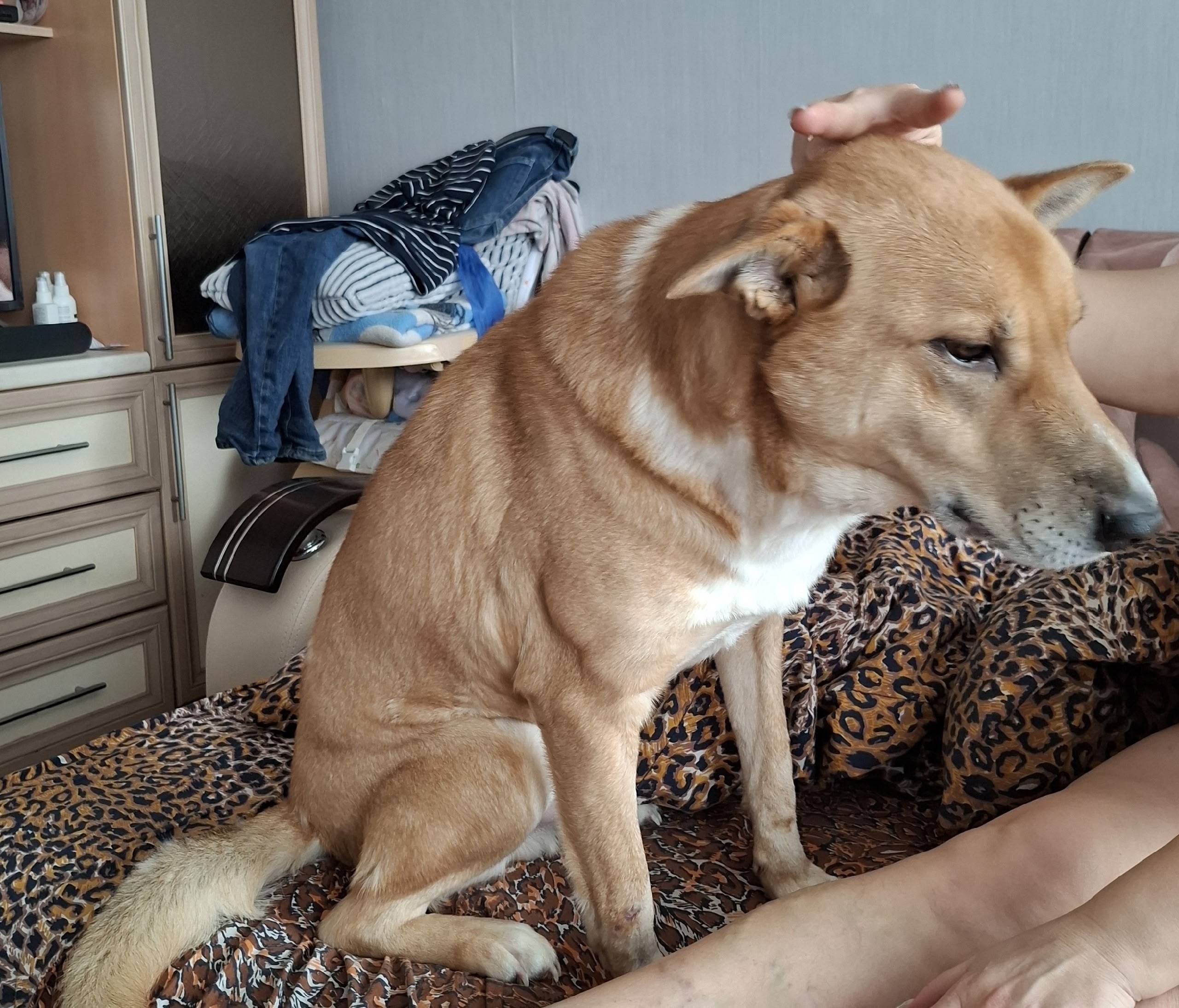 🆘🆘🆘 Шуя! Добрый вечер, друзья....