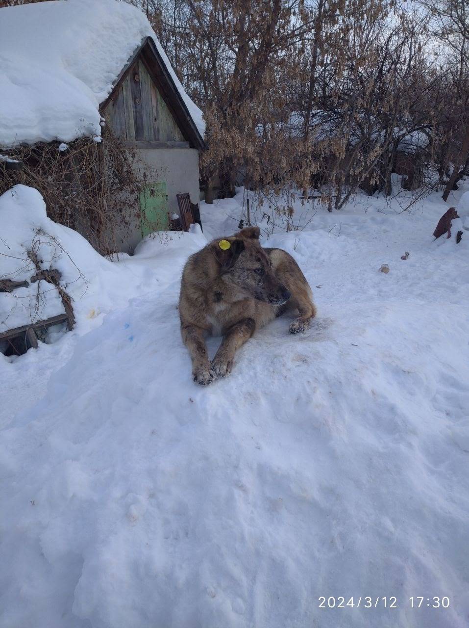 Стерлитамак. Срочно!  Ищу Нелю...