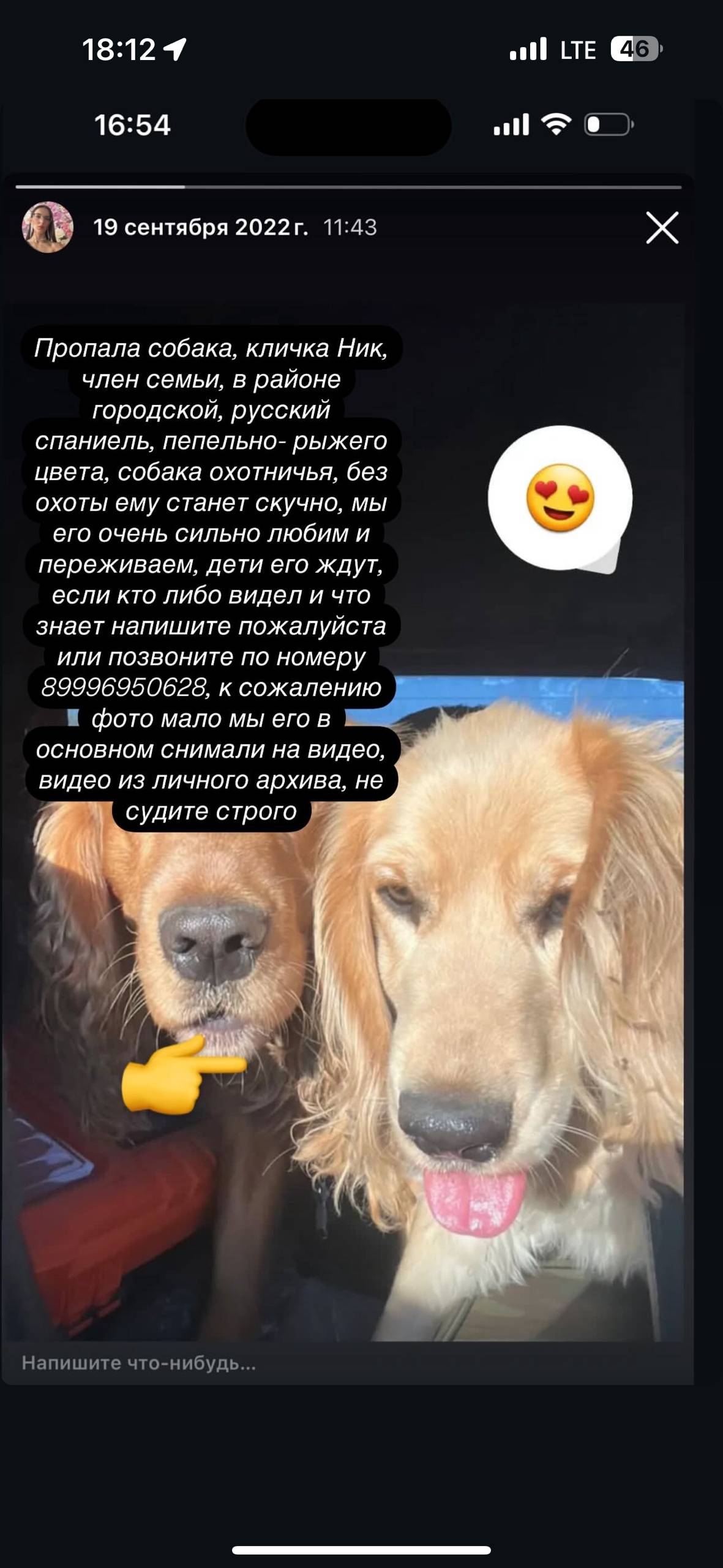 Пропала собака, русский спание...