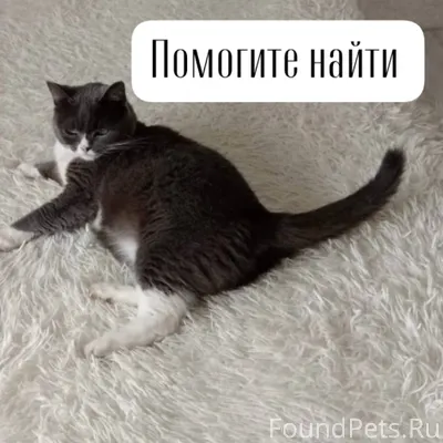 СТАВРОПОЛЬ Прошу помощи! Пропа...