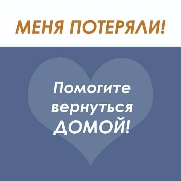 Пост по просьбе ❗ SOS! Пропала...
