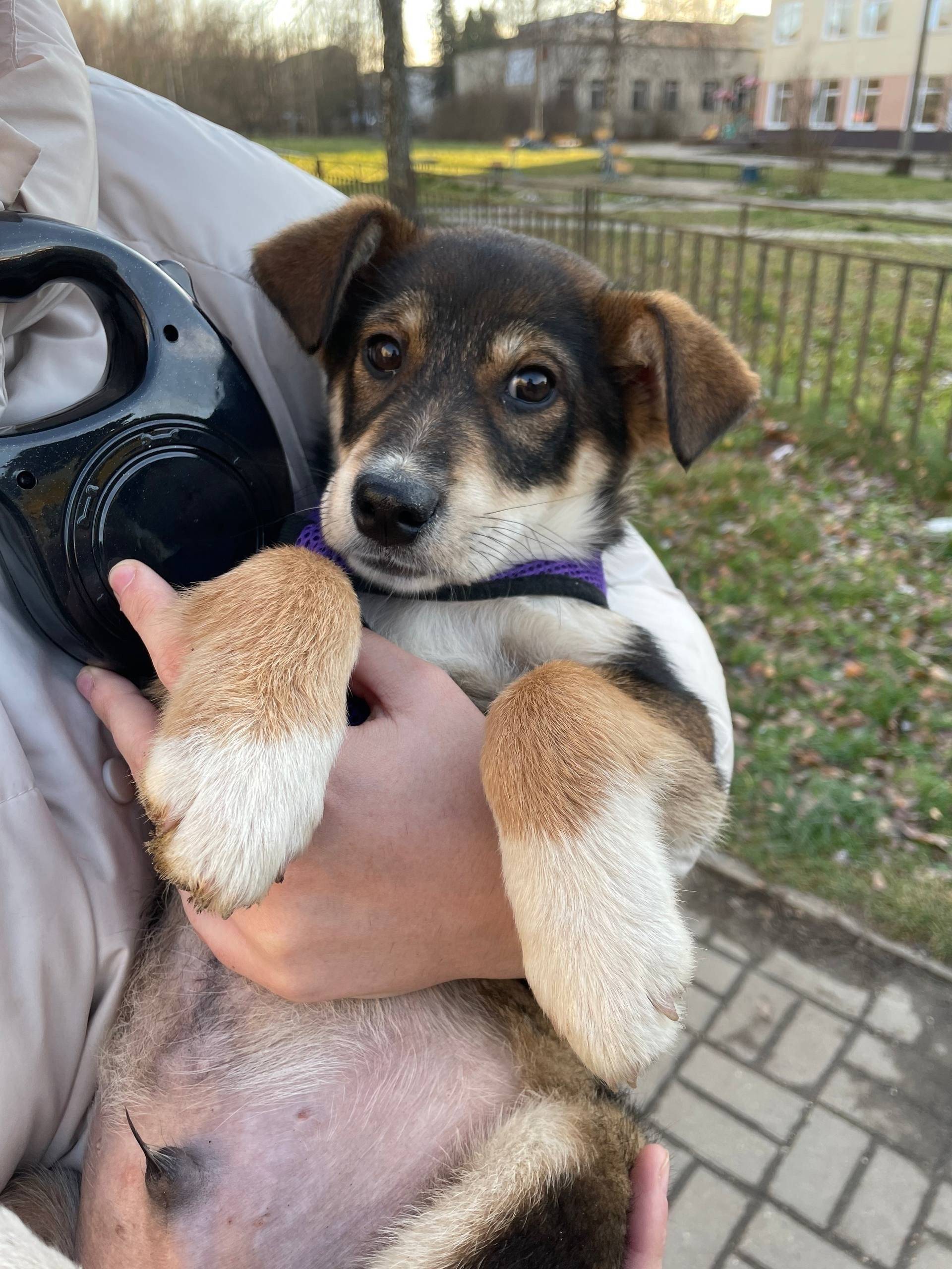 Сегодня утром найден в городе ...
