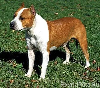 Ребят , может кто ищет !!!!! Н...