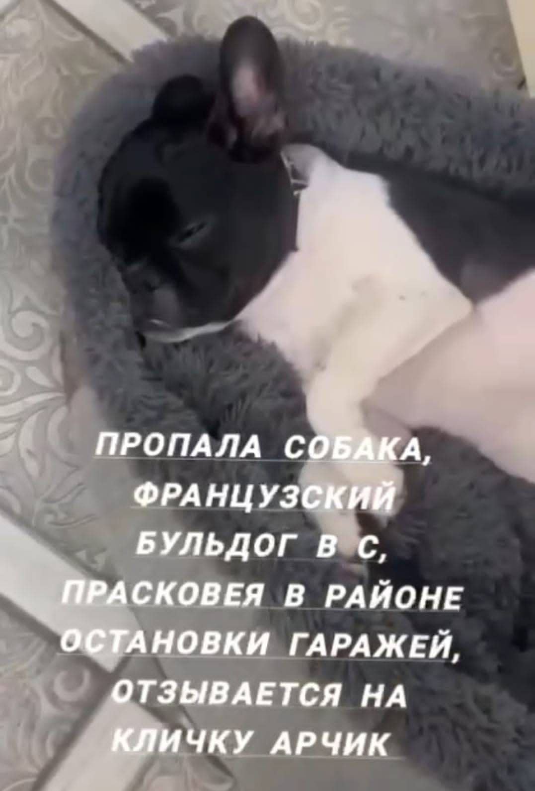 СРОЧНО‼️🆘 ПОМОГИТЕ НАЙТИ🆘Буден...