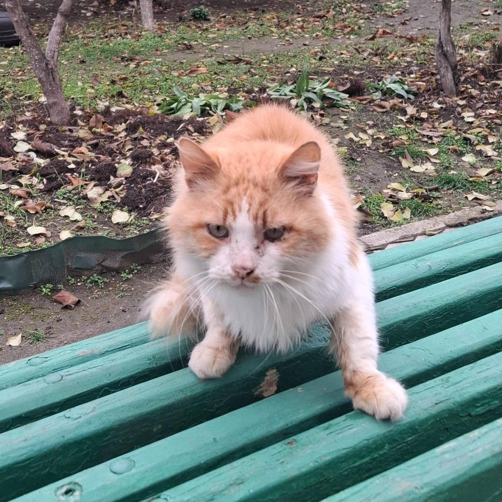 По двор многоэтажки по Коммуни...