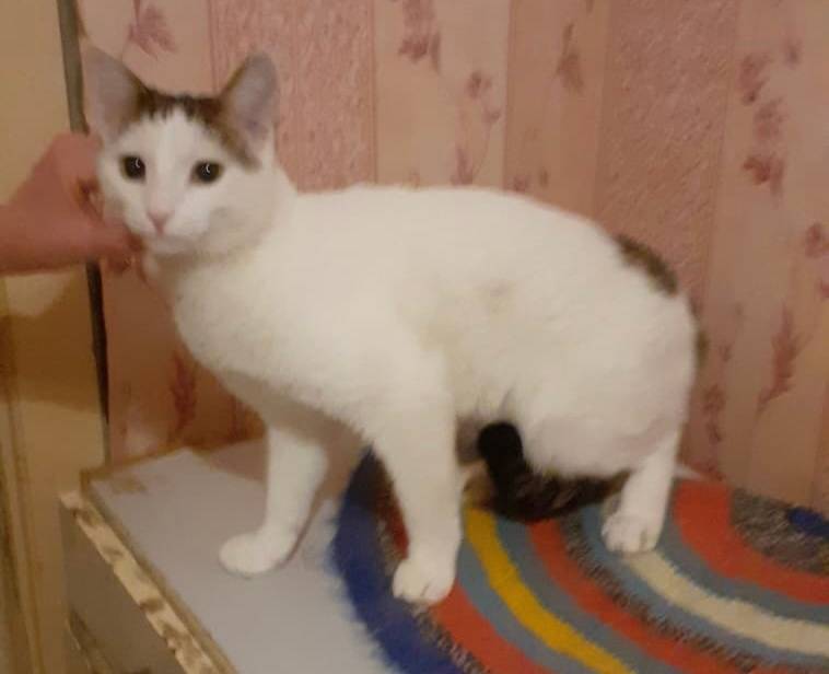 🆘 🆘 🆘 Вечером 10 ноября...