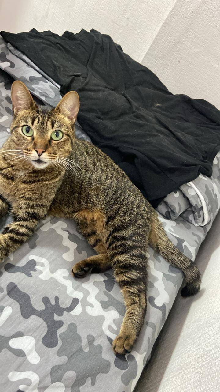 В районе станции Одинцово найд...