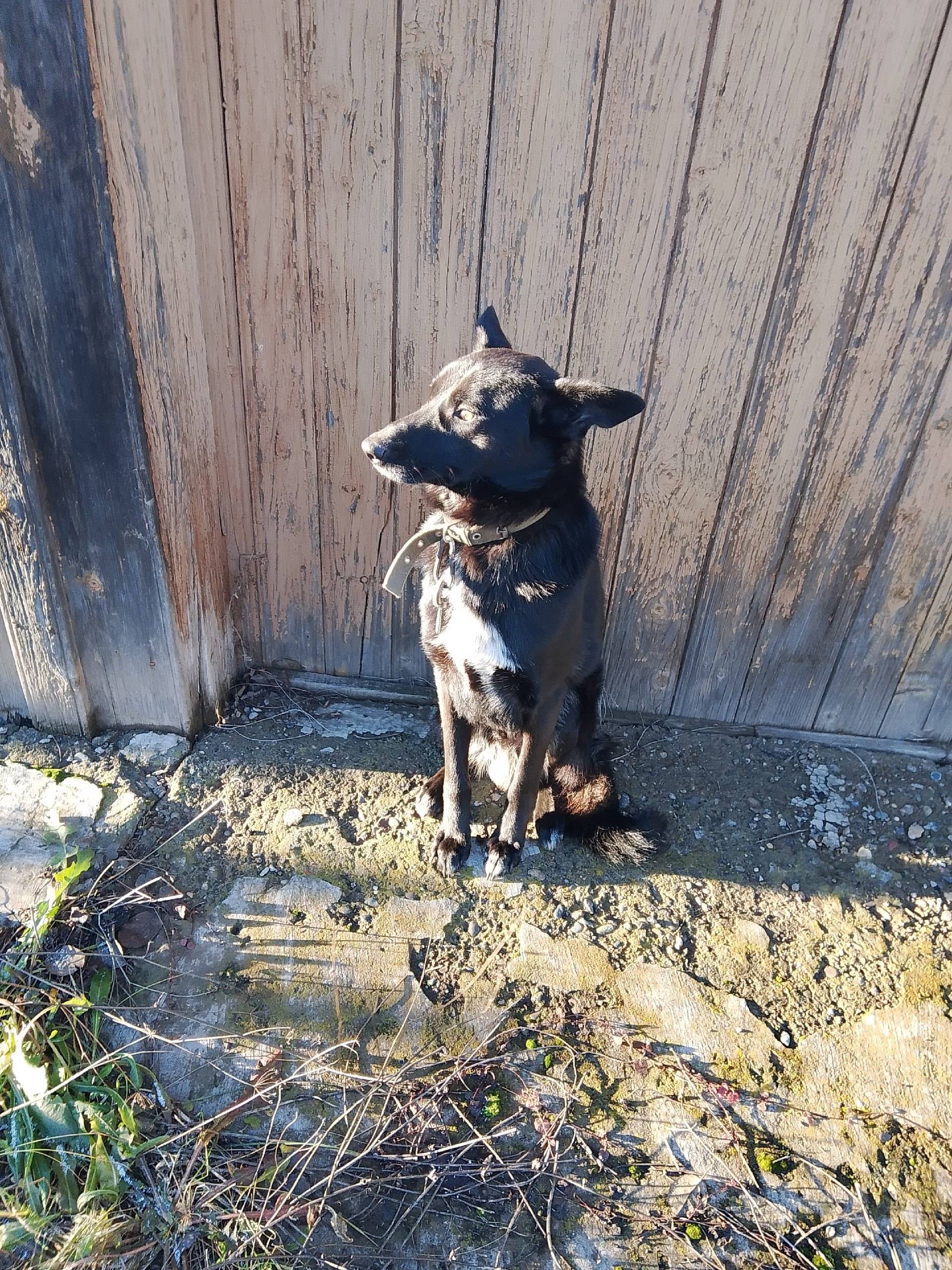 Случилось....🔥 Пришла сегодня ...