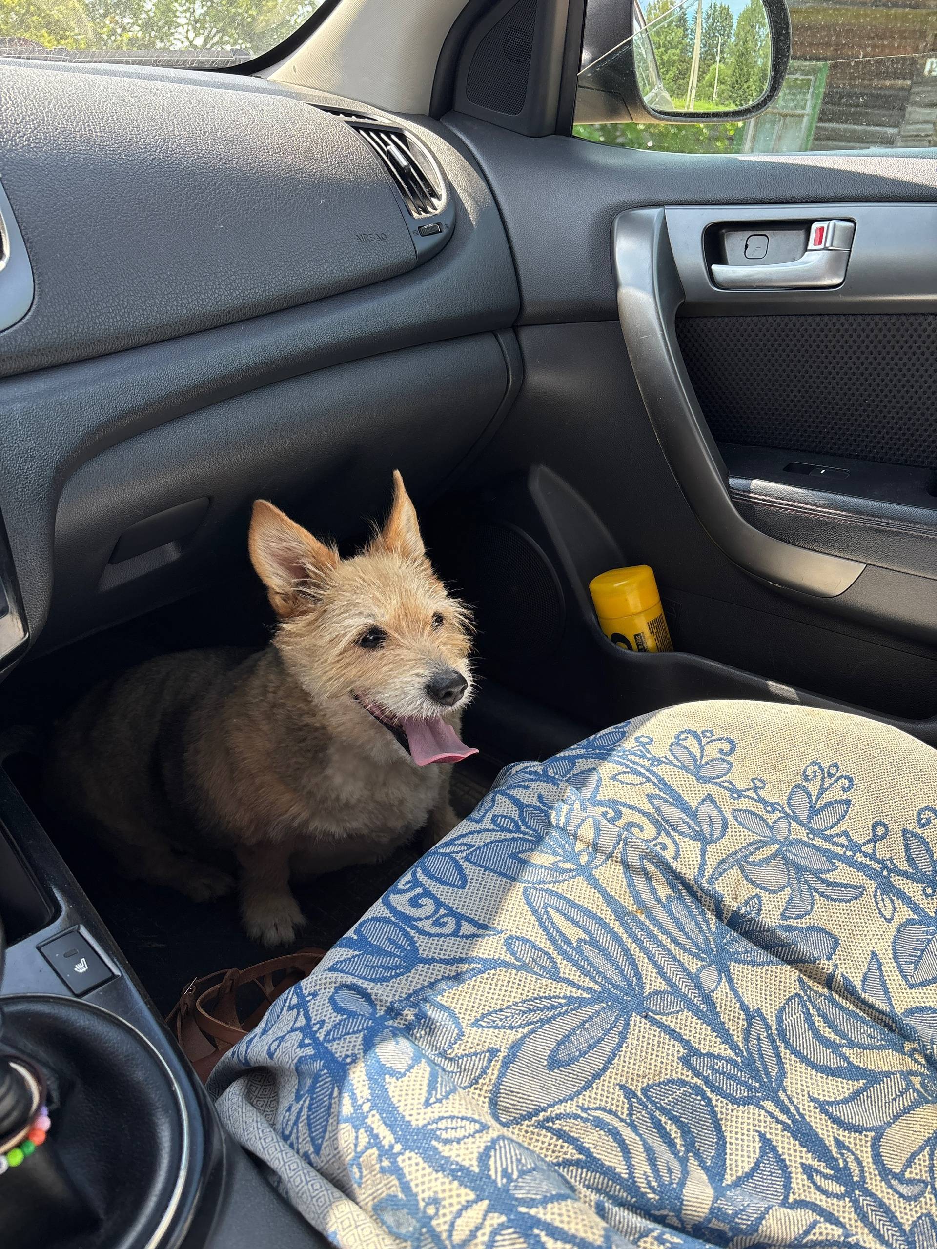 Здравствуйте! 20.11 в деревне ...