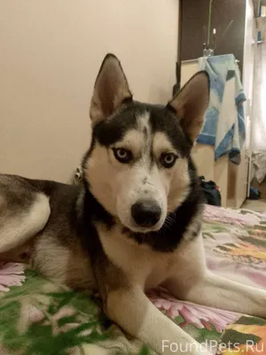 Сегодня днем в районе Гагарина...