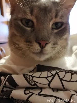 Пожалуйста, помогите найти. За...