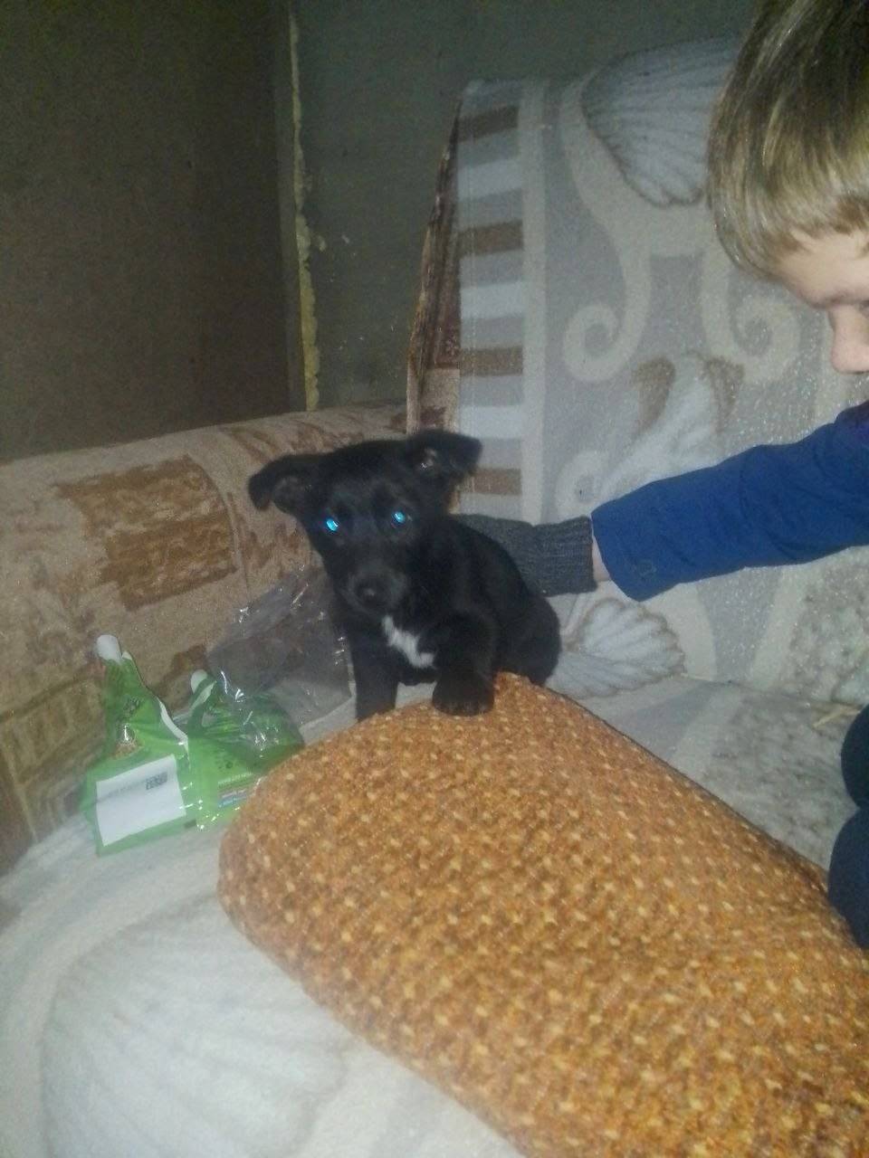 Доброе утро, вчера днем потеря...