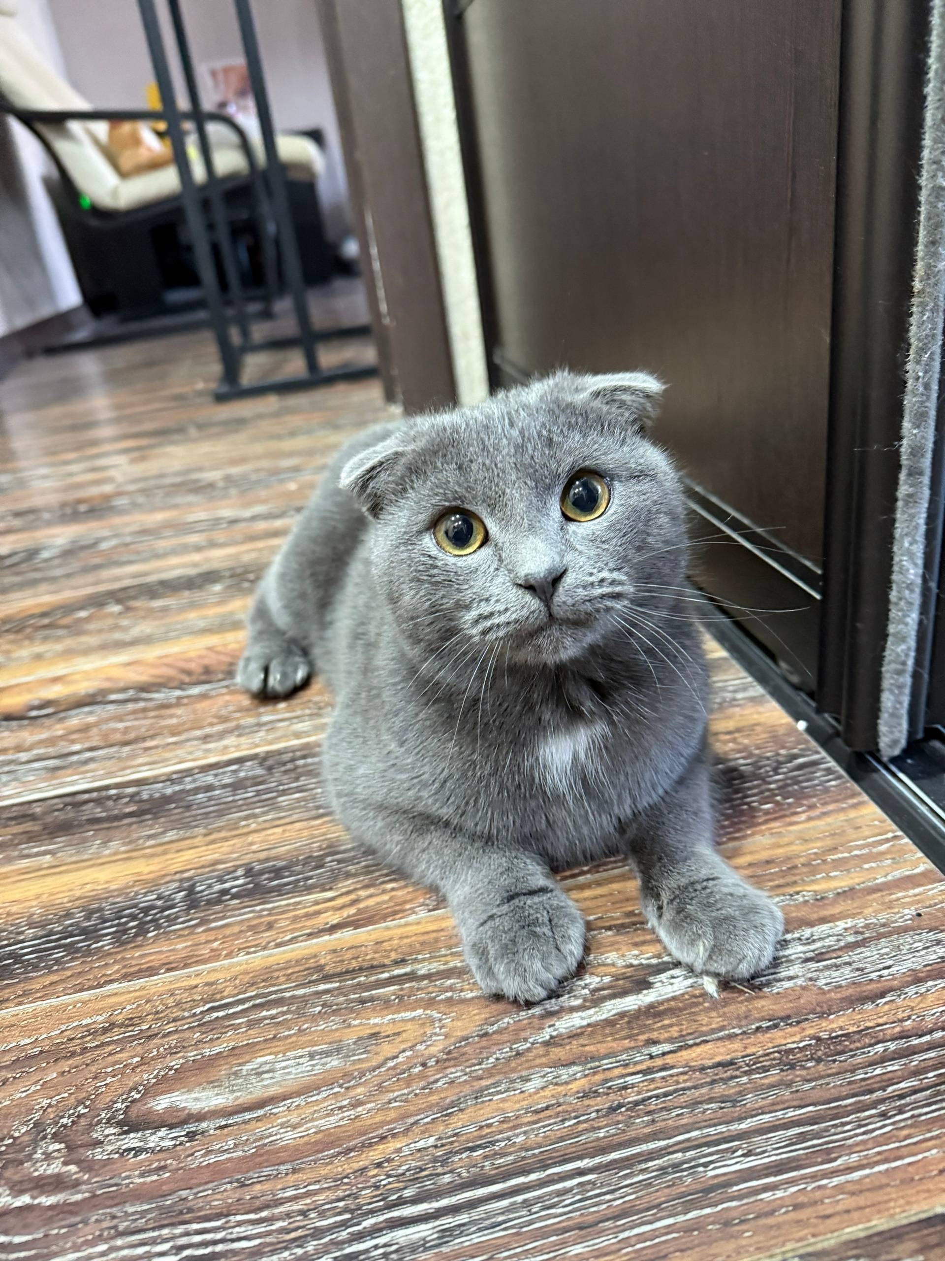 Добрый день. В р-не фабрики...