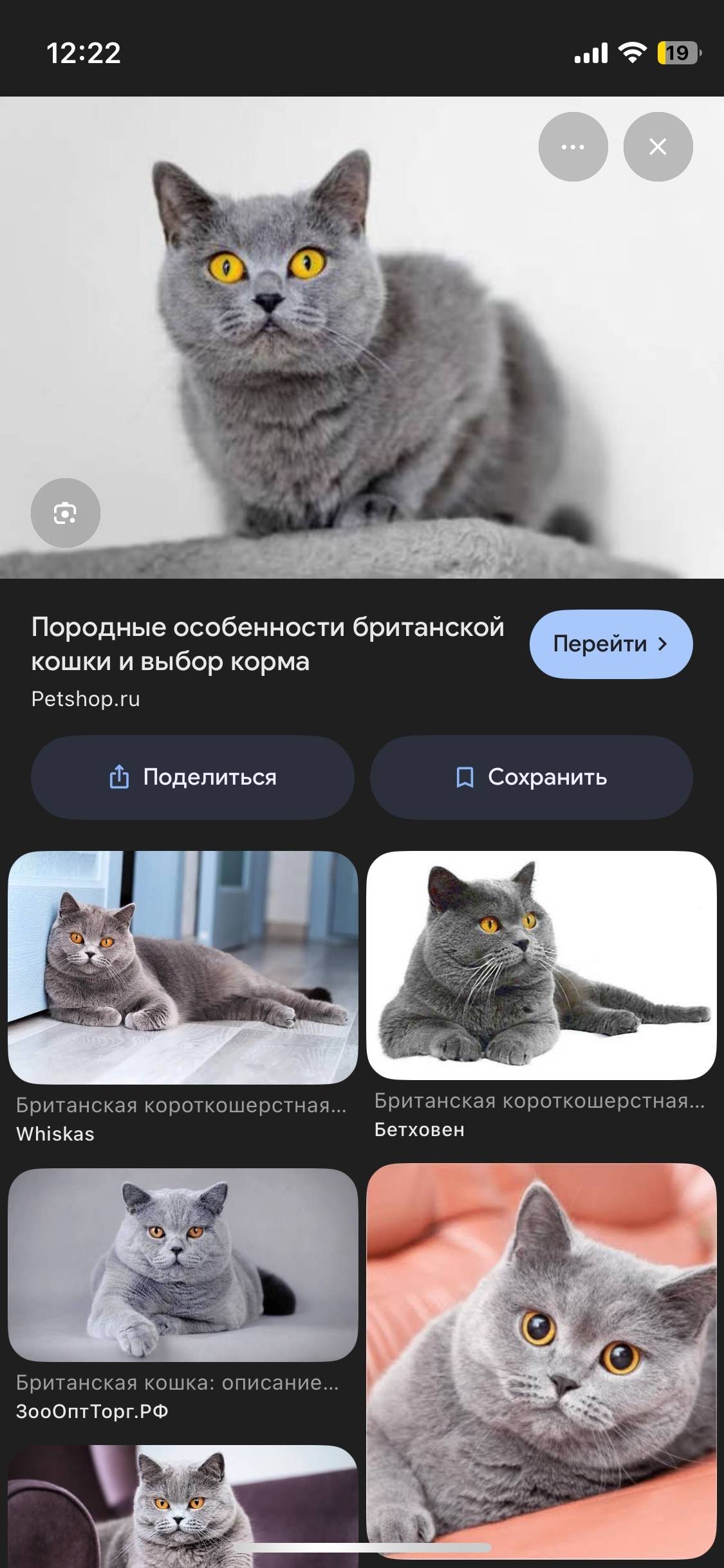 21.11.2025 12:37 Помогите...