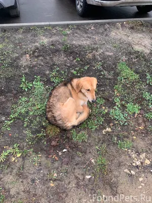 Сегодня с утра во дворе на...