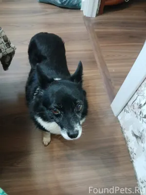 Ставрополь На улице Дзержинско...