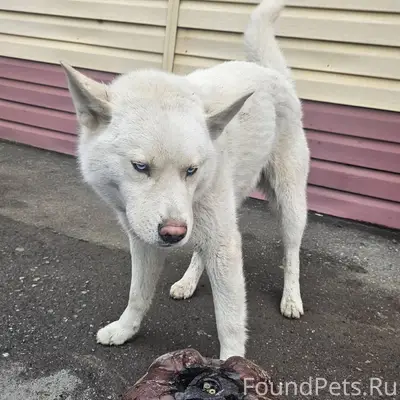 Возможно, в этот раз пост опуб...