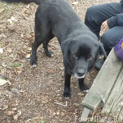 В 4 м-не больше месяца...