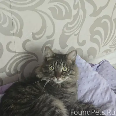 Здравствуйте. Помогите найти н...