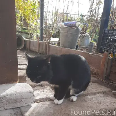 Кузя!!!! Ты где???? Милый, ну ...