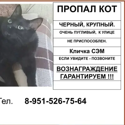 Ростов-на-Дону, район Рабочей ...