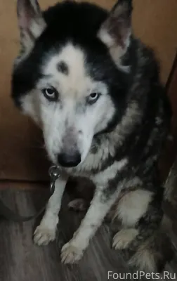 Доброго времени суток. Найдено...