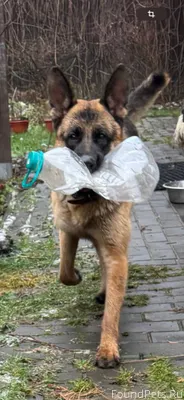 Анонимно! Вчера в Ивантеевке п...